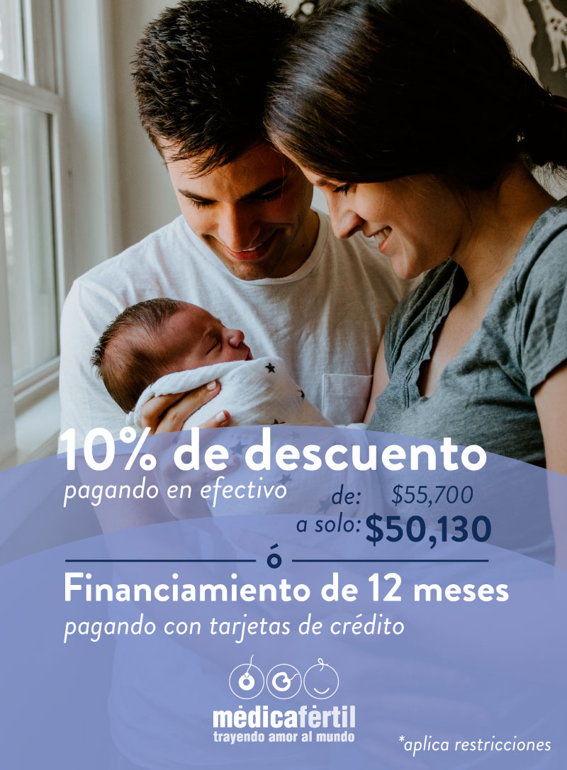 econofiv