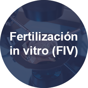 Fertilización in vitro (FIV)